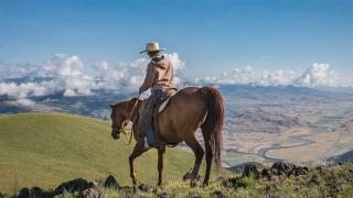 Real-World Photography Adventures