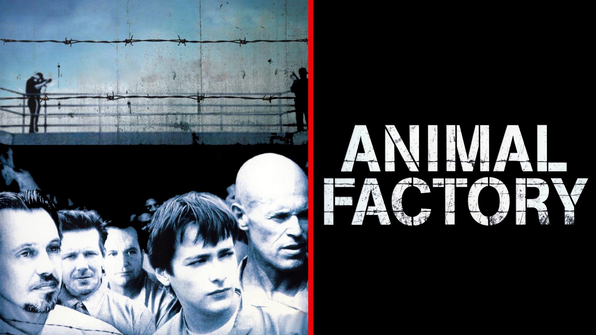 Animal Factory Streaming Vf