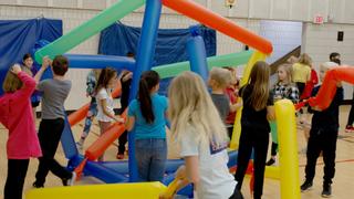 The DIY SCI Challenge