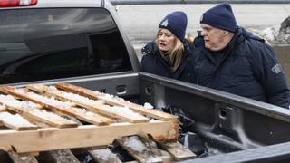 Frozen Stiffs