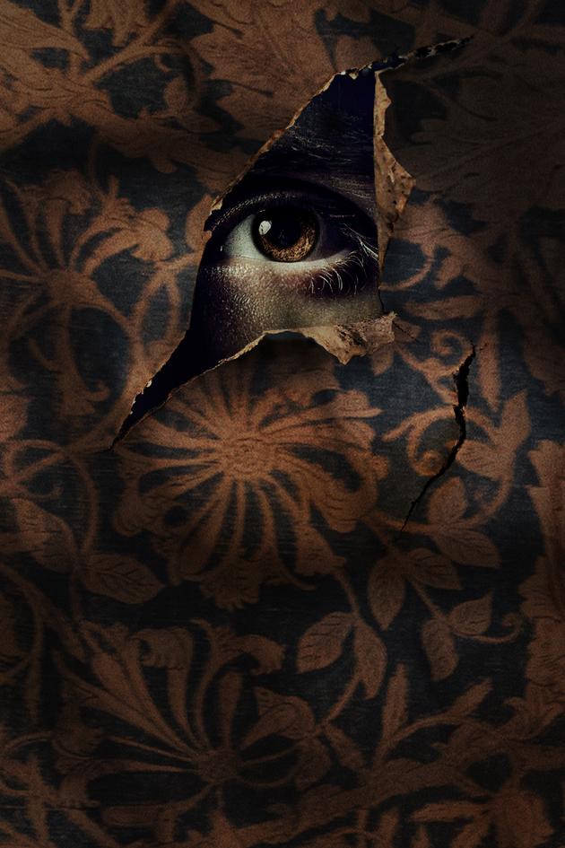 Boy in the Walls