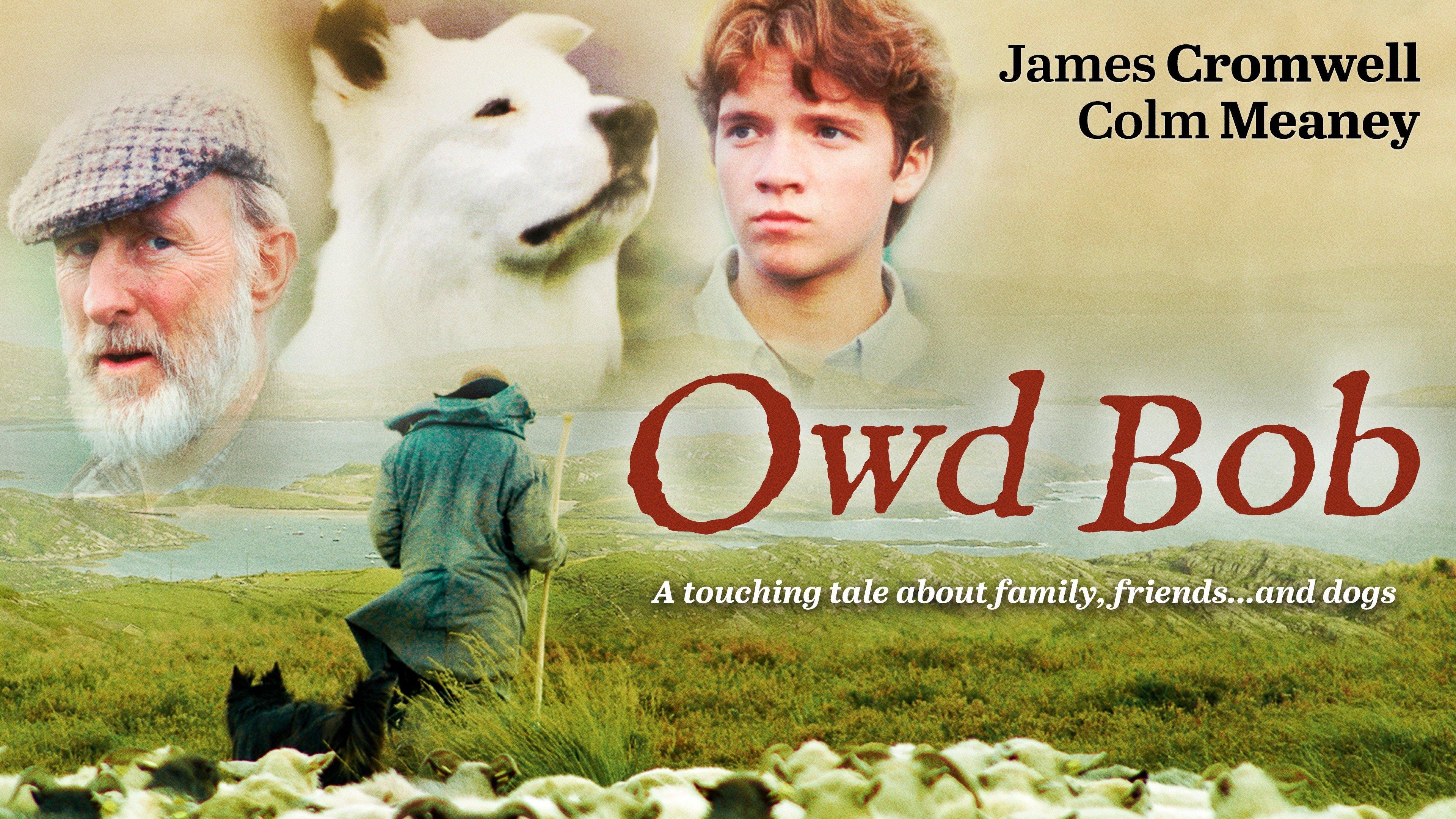 Watch Owd Bob Streaming Online on Philo (Free Trial)