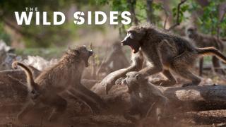 The Wild Sides