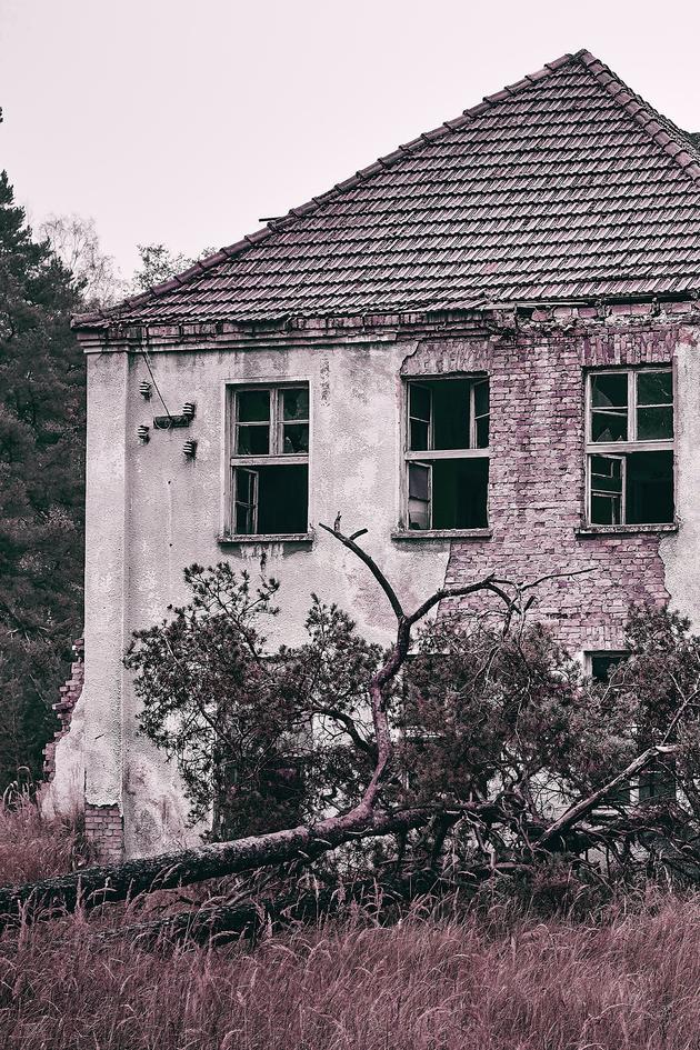 The Paranormal Files