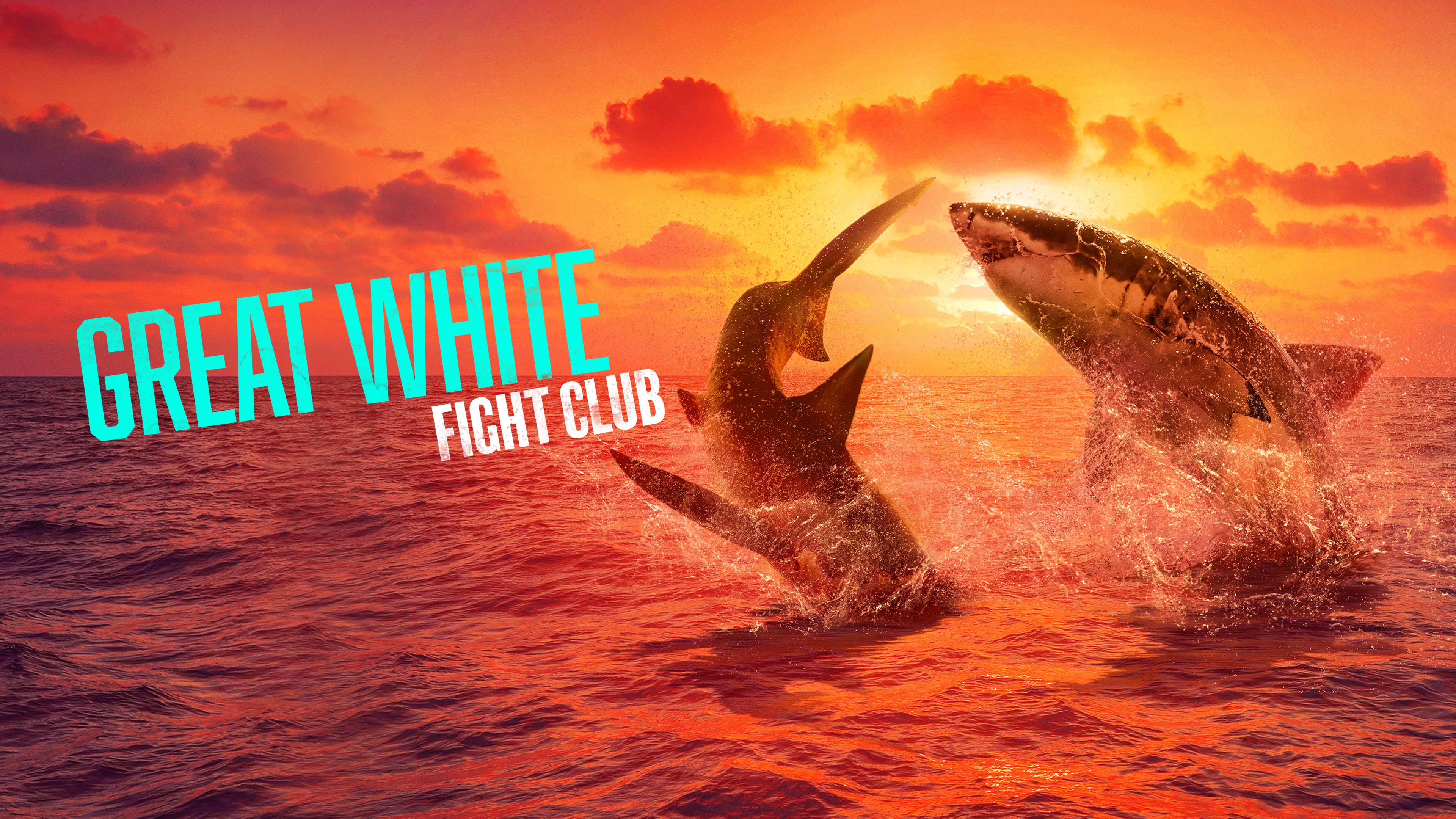 Watch Great White Fight Club Streaming Online on Philo (Free Trial)