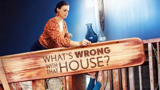 What's Wrong With That House?