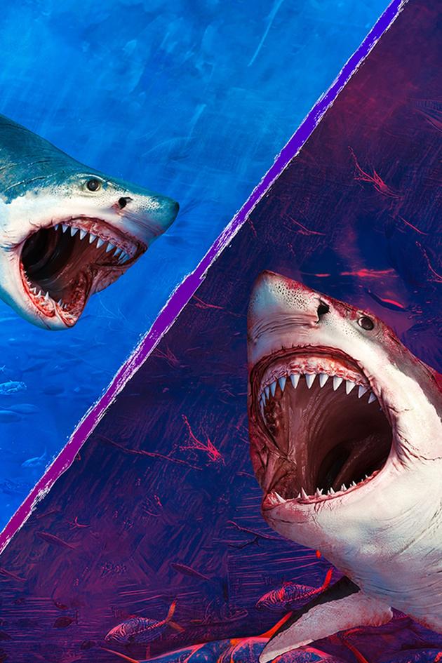 Jaws vs the Meg