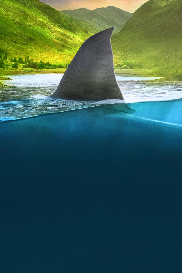 Jaws in the Shallows