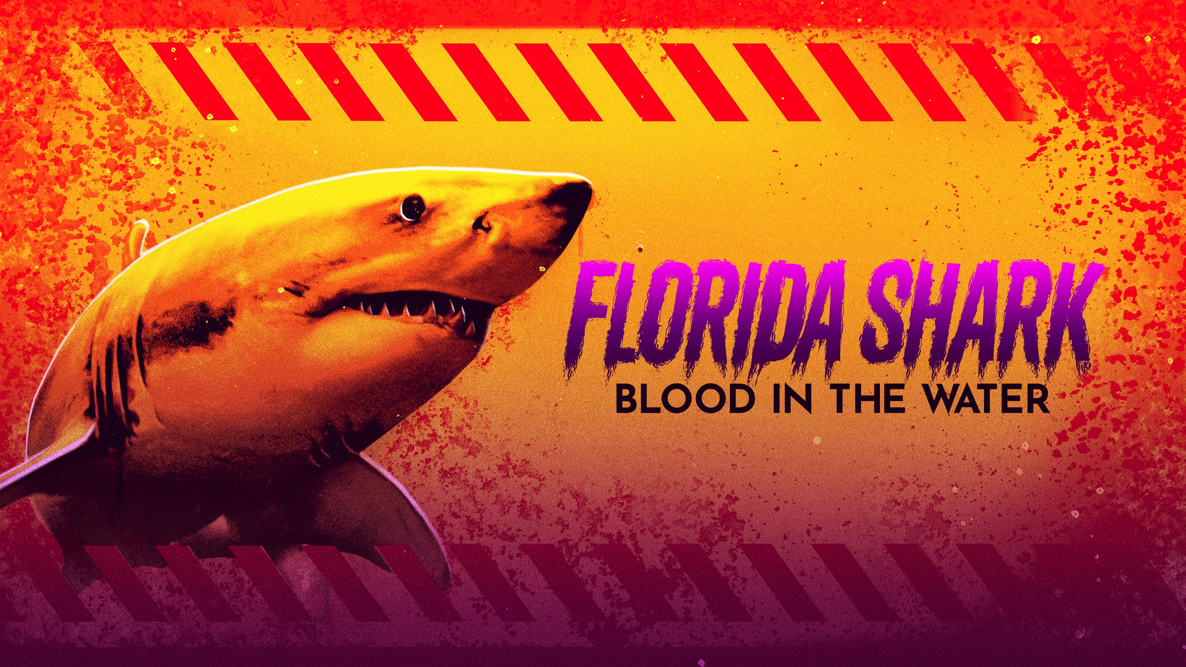 Watch Florida Shark Blood in the Water Streaming Online on Philo (Free