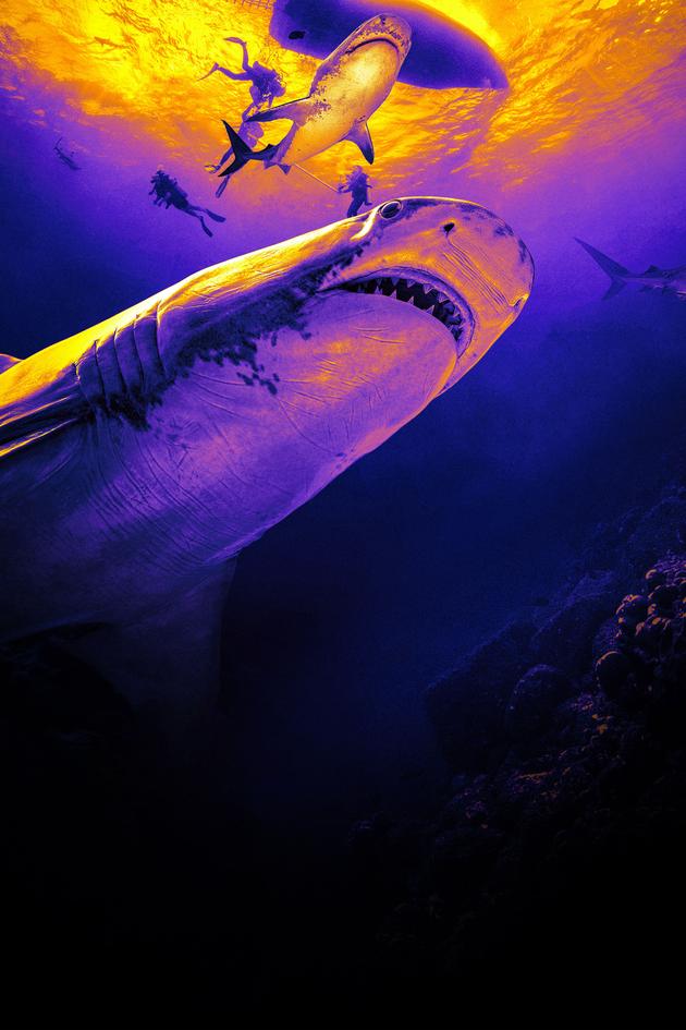 Deadly Sharks of Paradise