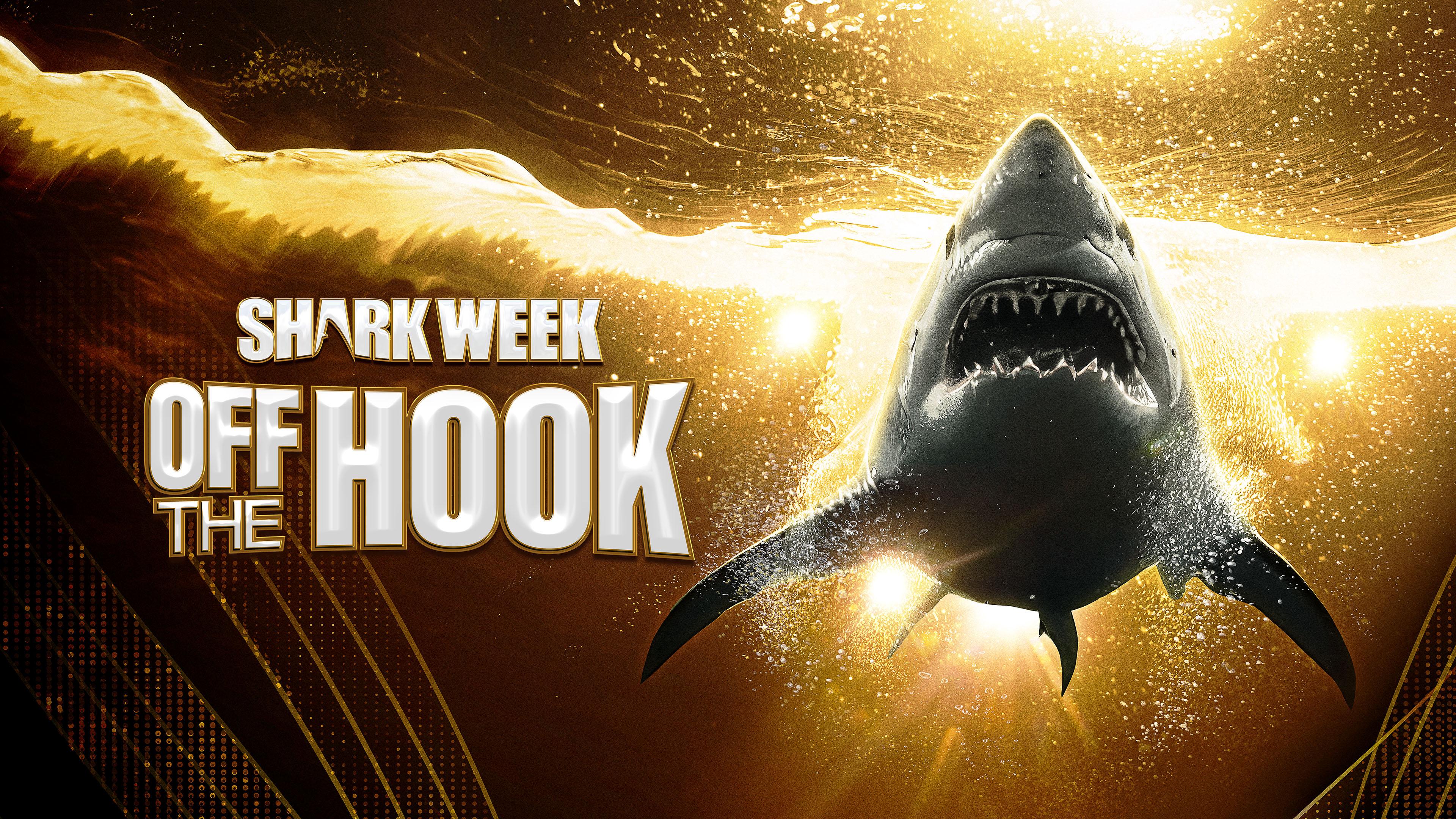 Watch Shark Week Off the Hook Streaming Online on Philo (Free Trial)