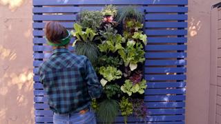 Outdoor Projects
