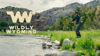 Wildly Wyoming