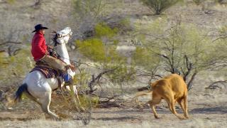Cowboy Up