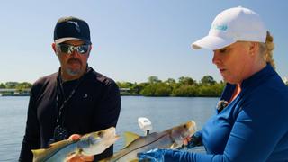 Chasing Our Inshore Slam in Historic St. Petersburg, FL