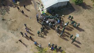 Rhino Rescue Cote d'Ivoire