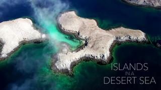 Islands in a Desert Sea