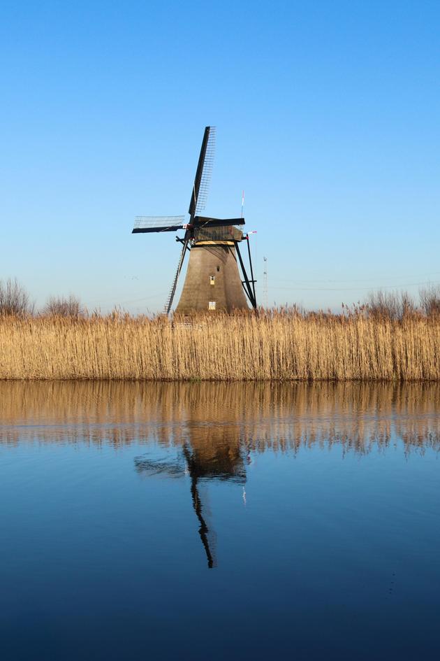 Wild Holland