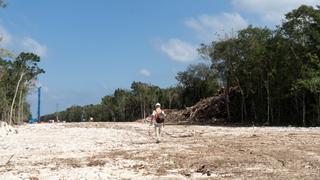 Deforestation