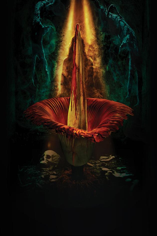 Blood Flower