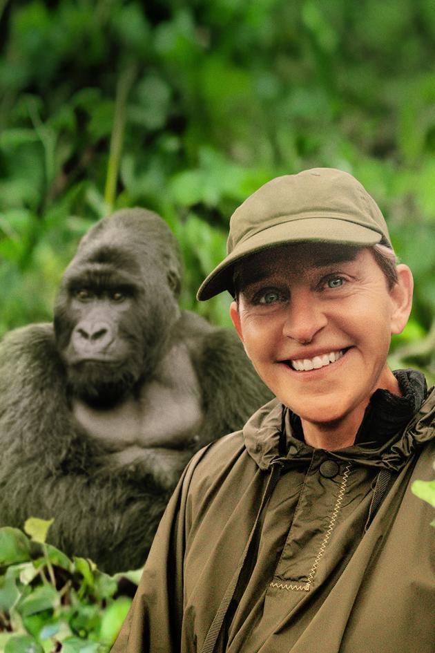 Saving the Gorillas: Ellen's Next Adventure