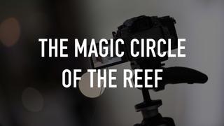  watch The Magic Circle of the Reef