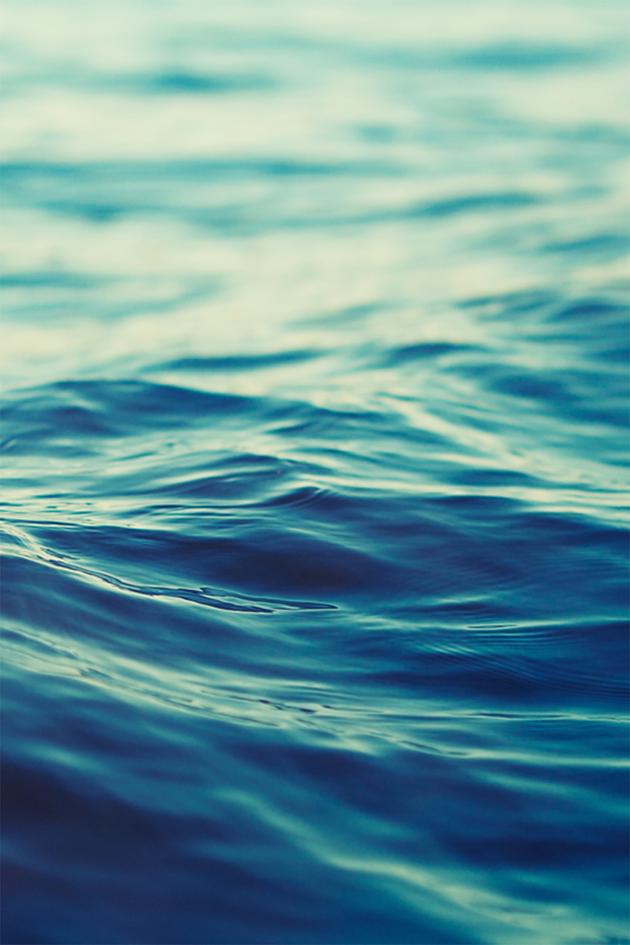 One Water Race