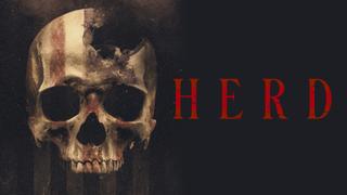 Herd