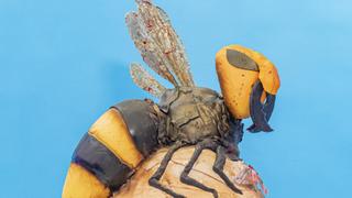 Halloween: Buggin' Out