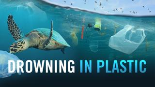 Drowning in Plastic
