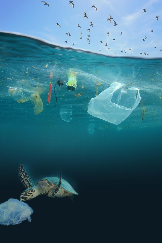 Drowning in Plastic