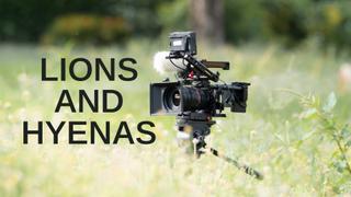 Lions and Hyenas