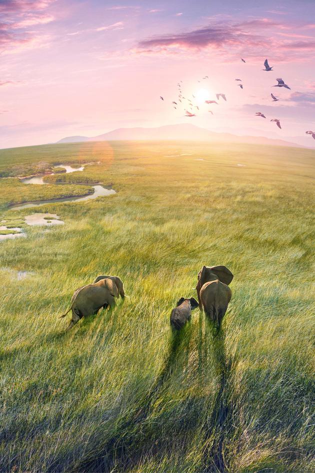 Planet Earth III