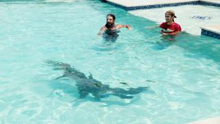 Water Hazards