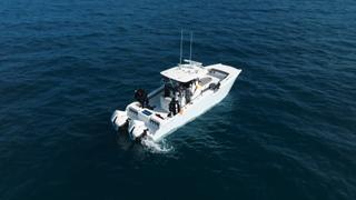 The White Whale