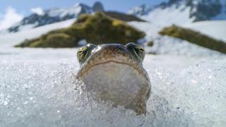 Extremes