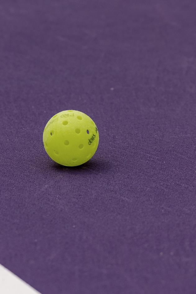 Celebrity Pickleball Players
