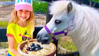 Feeding Animals