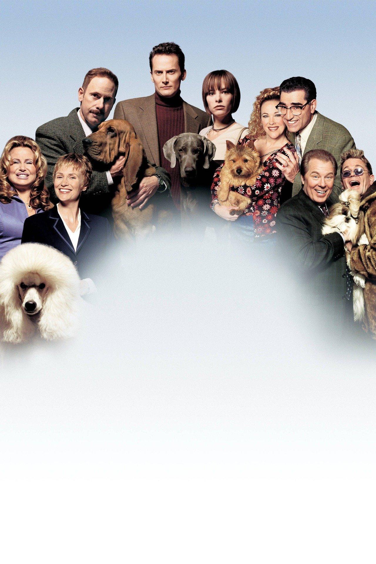 Best in show streaming free sale