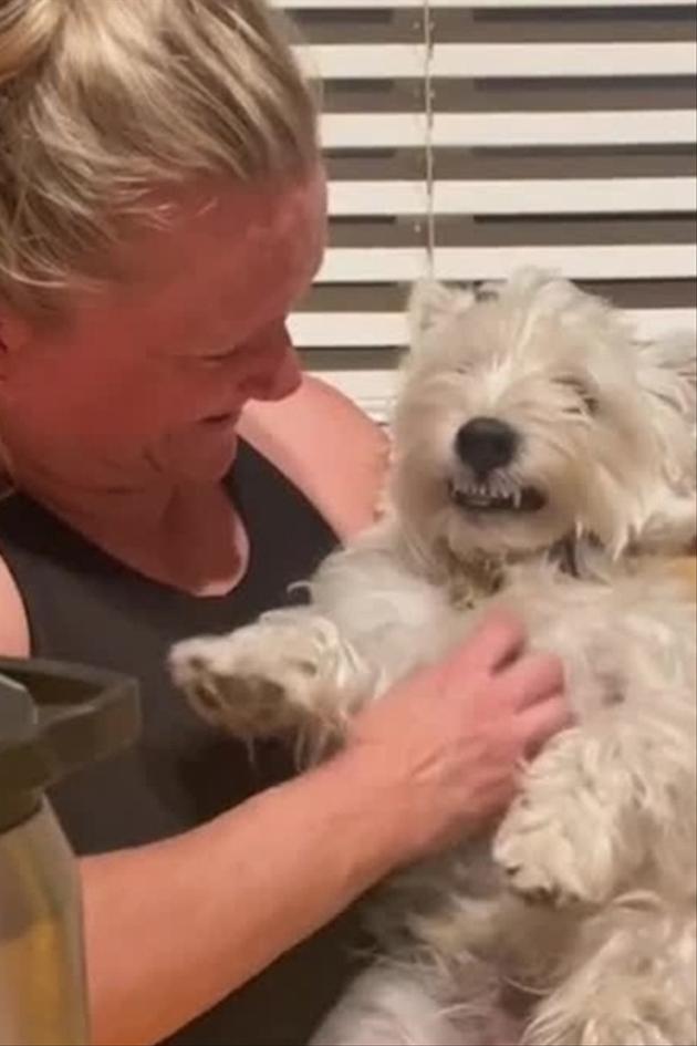 Funniest Pets of the Month