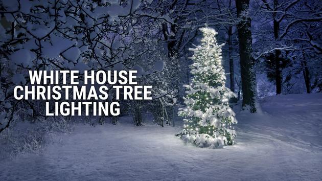 White House Christmas Tree Lighting