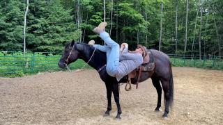 Humans vs Adrenalin