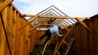 Humans VS. Everything ----- Humans vs. Home Improvement
