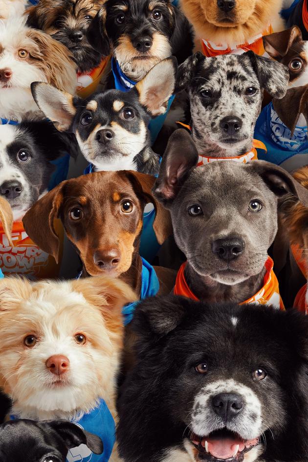 Puppy Bowl XX