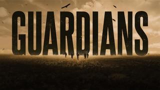 Guardians