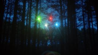 Rendlesham Forest, Back from the Future