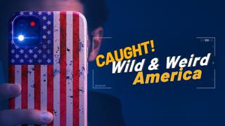 Wild & Weird America