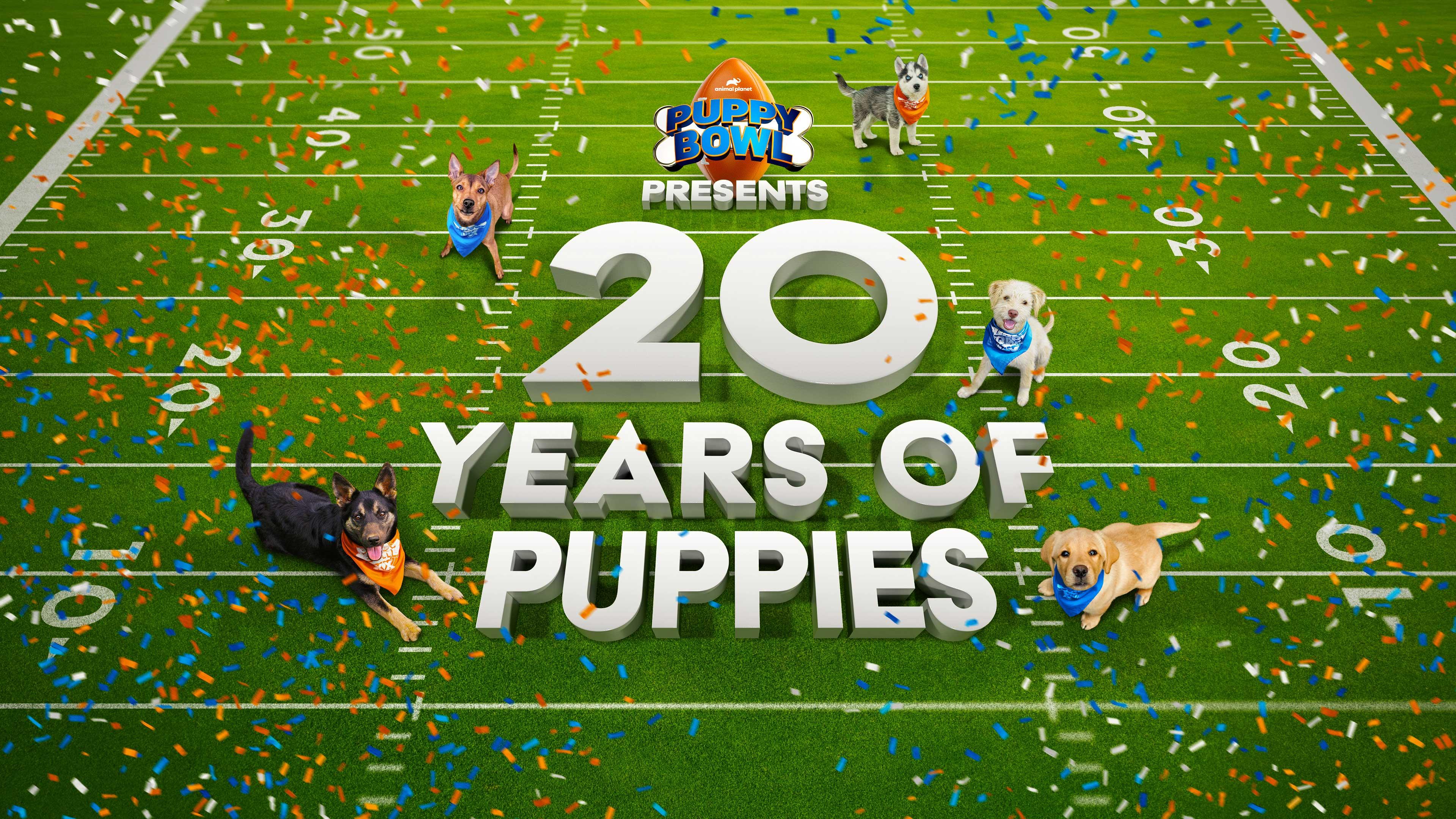 Watch Puppy Bowl Presents 20 Years of Puppies Streaming Online on