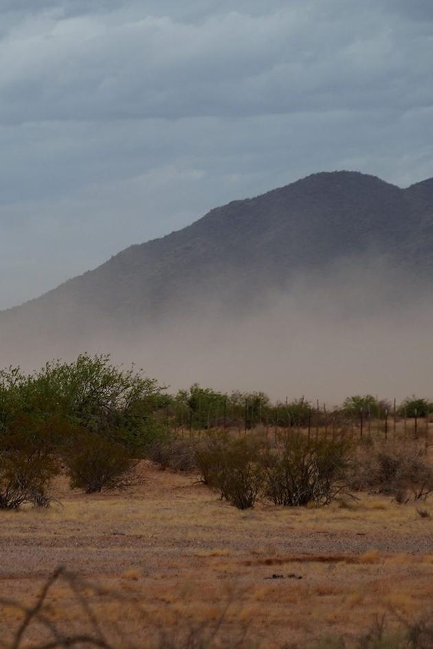 Mexico-US: The Search for Lost Migrants