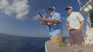 Casa Vieja: The Sailfish Capital